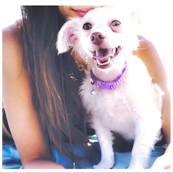 ༟༟ where ⁺ ｡ stars kiss ⁺ ｡ ♡u & i ⭐️ - Picture 6 of 7